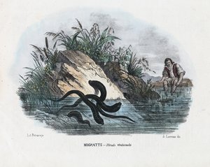 リーチ、1863-79